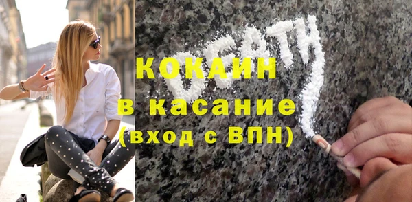 шишки Вяземский