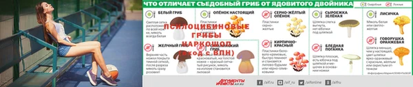 ГАЛЛЮЦИНОГЕННЫЕ ГРИБЫ Волоколамск