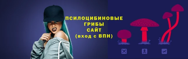 мет Вязники