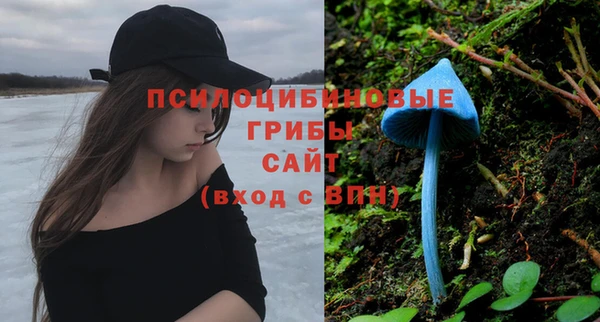 шишки Вяземский
