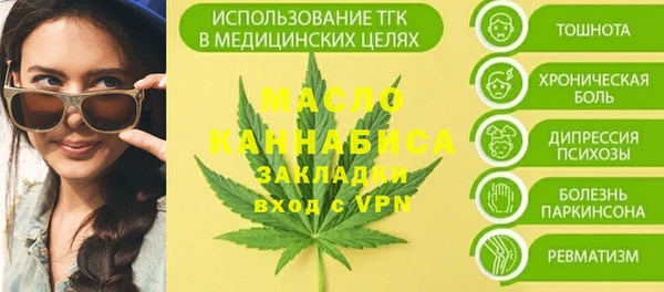 шишки Вяземский